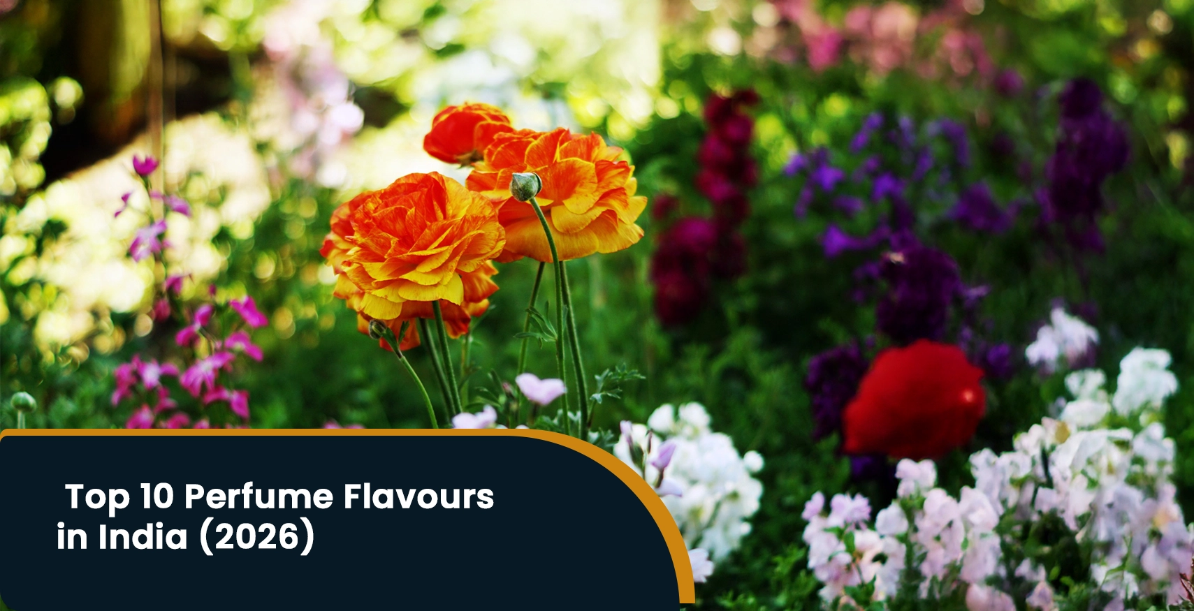Find your perfect scent with our premium fragrance collection.